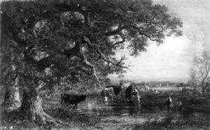 Kuhe An Der Tranke Im Seichten Wasser Eines Teiches by Carl Ebert