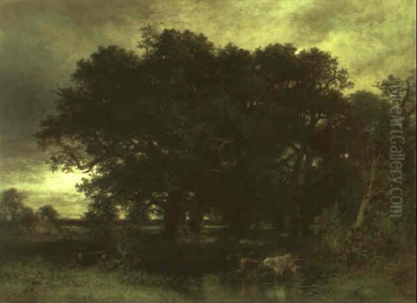 Blick In Eine Weite Landschaft - view 1