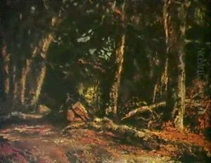 Holzfaller Im Buchenwald Holzfaller Im Buchenwald