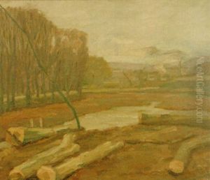 Landschaft Mit Baumstamme