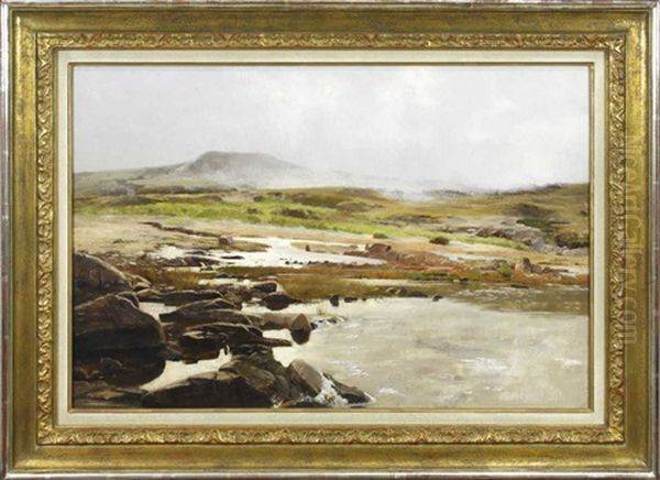 Norwegische Landschaft - view 1