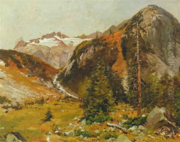 Der Erlengletscher Bei Der Haneck - view 1