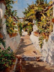 "terraza Cirragalera". "terraza Cirragalera".