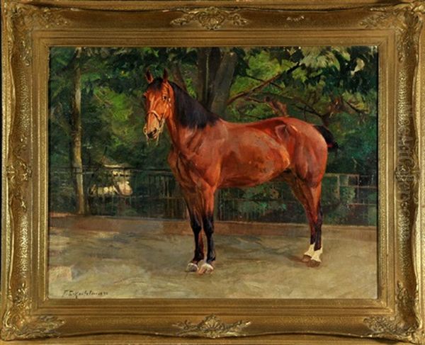 Pferd Auf Brucke Im Park - view 1