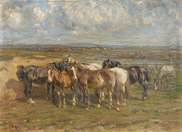 Pferde Auf Der Koppel - view 1