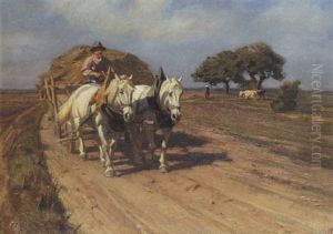 Bauer Mit Einem Heufuhrwerk Auf Der Landstrase