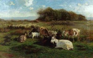 Ziegen Und Schafe In Einer Weiten Wiesenlandschaft