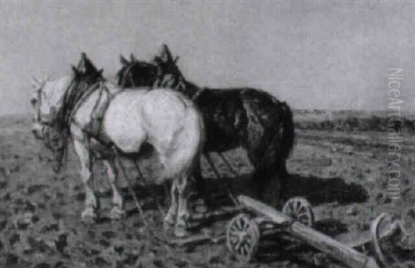 Zweispanniger Pflug Auf Dem Feld - view 1