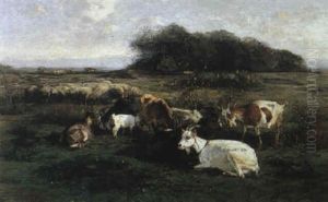 Grazing Sheep And Goats Grazing Sheep And Goats