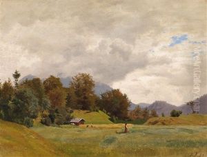 Eine Almlandschaft