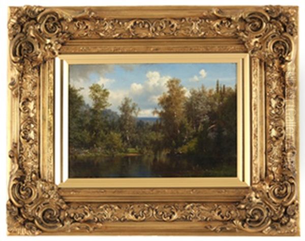 Landskap Med Vann - view 1