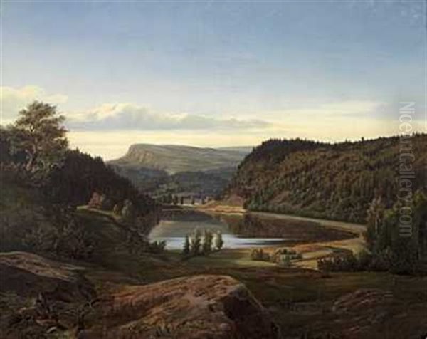 Engervandet Sandvigen - view 1