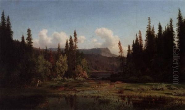 Fugler Ved Skogsvann - view 1