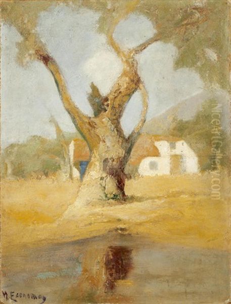 House In The Olive Grove by Mihalis Economou
