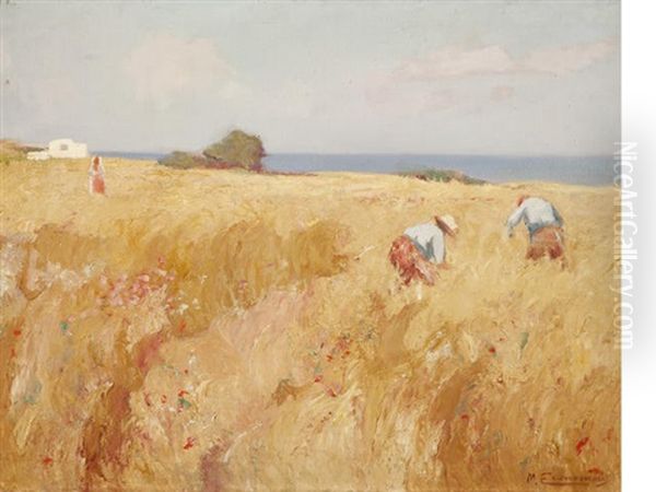 In The Field - view 1