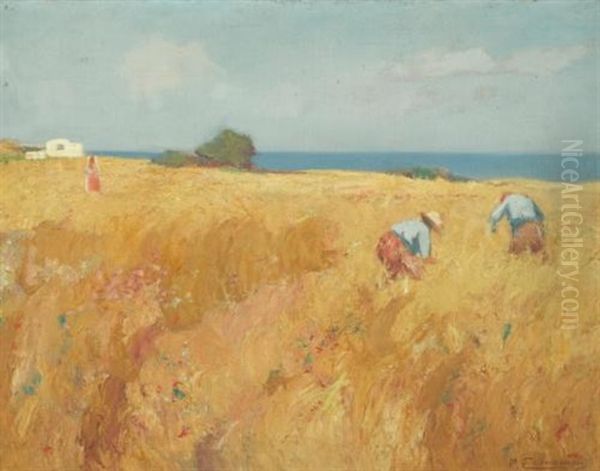 In The Field - view 1