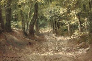 Wooden Glade Wooden Glade