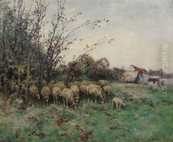 Schafherde Auf Der Wiese - view 1