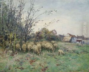 Schafherde In Herbstlicher Landschaft Schafherde In Herbstlicher Landschaft
