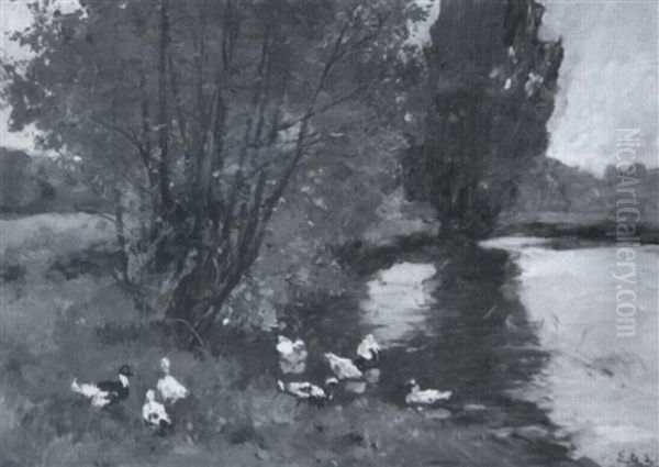 Ducks By A Stream - view 1