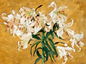 Lilies Lilies