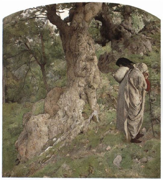 Pilgrim - view 1