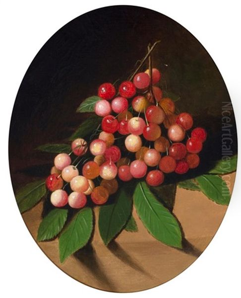 Grapes - view 1
