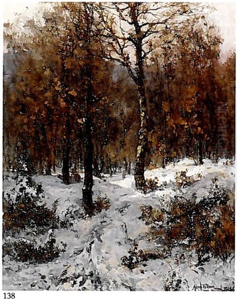 Winter Landscape - view 1