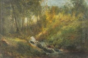 Forest Scene