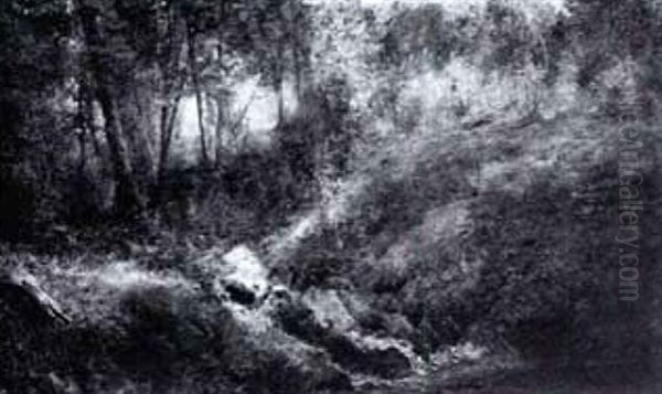 Stream In The Woods - view 1