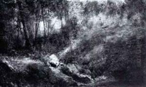 Stream In The Woods