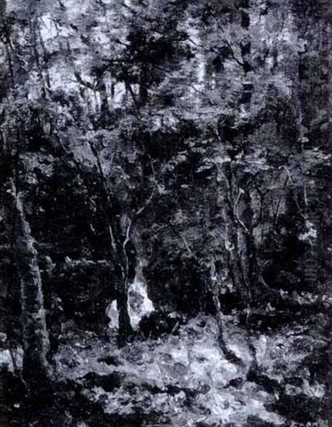 Forest Interior - view 1