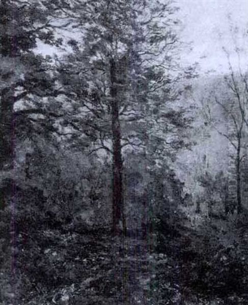Autumn Glen - view 1