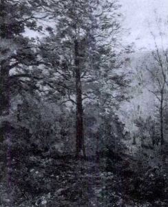 Autumn Glen