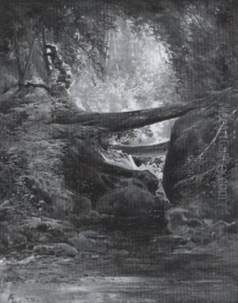 Mountain Stream - view 1