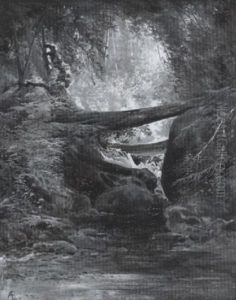 Mountain Stream