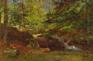 Sunlit Forest Stream