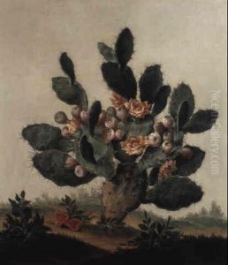 A Still Life Of A Cactus