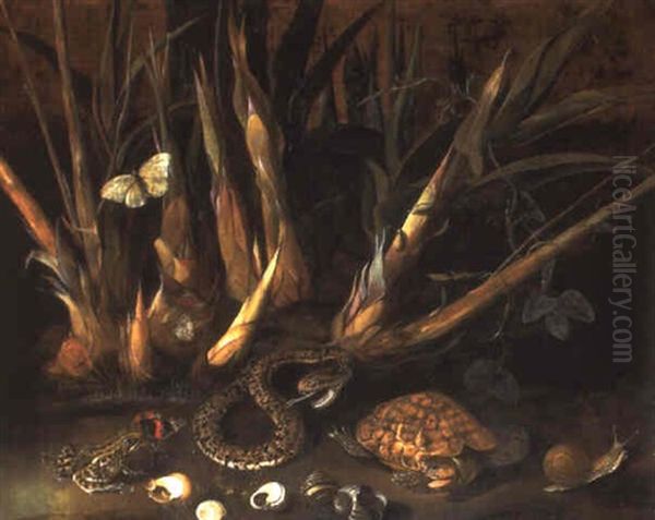 Sugar Cane And A Species Of Passiflora With Reptiles And Seashells - view 1