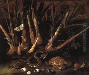 Sugar Cane And A Species Of Passiflora With A Pit Viper And Other Animals