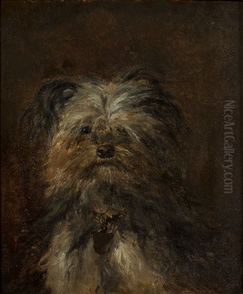 Terrier - view 1
