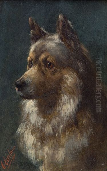 Portait Of An Alsatian - view 1