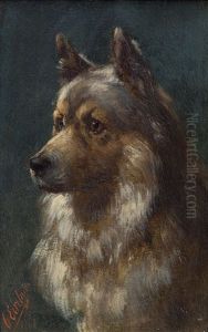 Portait Of An Alsatian
