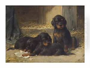 Gordon Setters Puppies by Otto Eerelman