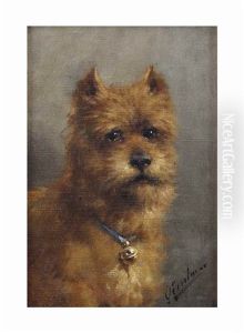 A Terrier