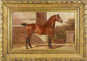 Stallion