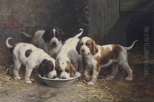 Saint Bernard Puppies Drinking Milk - view 1