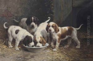 Saint Bernard Puppies Drinking Milk by Otto Eerelman