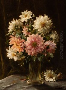 Dahlias