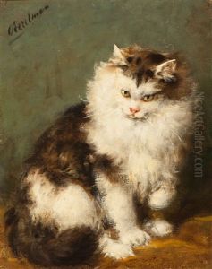 Ragdoll Cat by Otto Eerelman